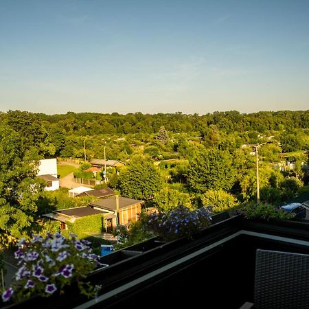 Doppelhaus- Villa Leipzig Schleussig , Moderner Altbau Apartment Dachetage Mit 2 Schlafzimmern Und Separatem Zusatzzimmer , Parkplatz - Balkon - Kamin - Eicheparkett - Arbeitsplatz Eksteriør billede